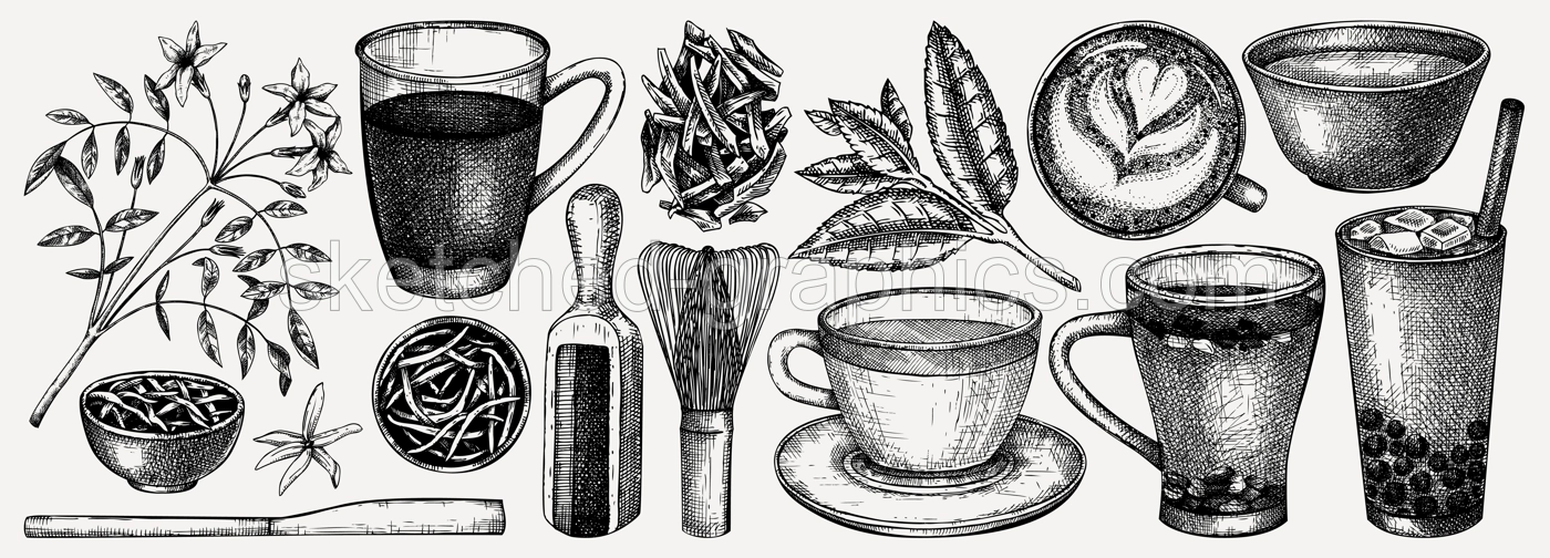 Hand-sketched tea drinks and ingredients collection. Vector sketches of hot beverage cups, dried leaves, jasmine blossom. Green Tea, black tea, white tea, matcha drawing for menu design on white Illustration